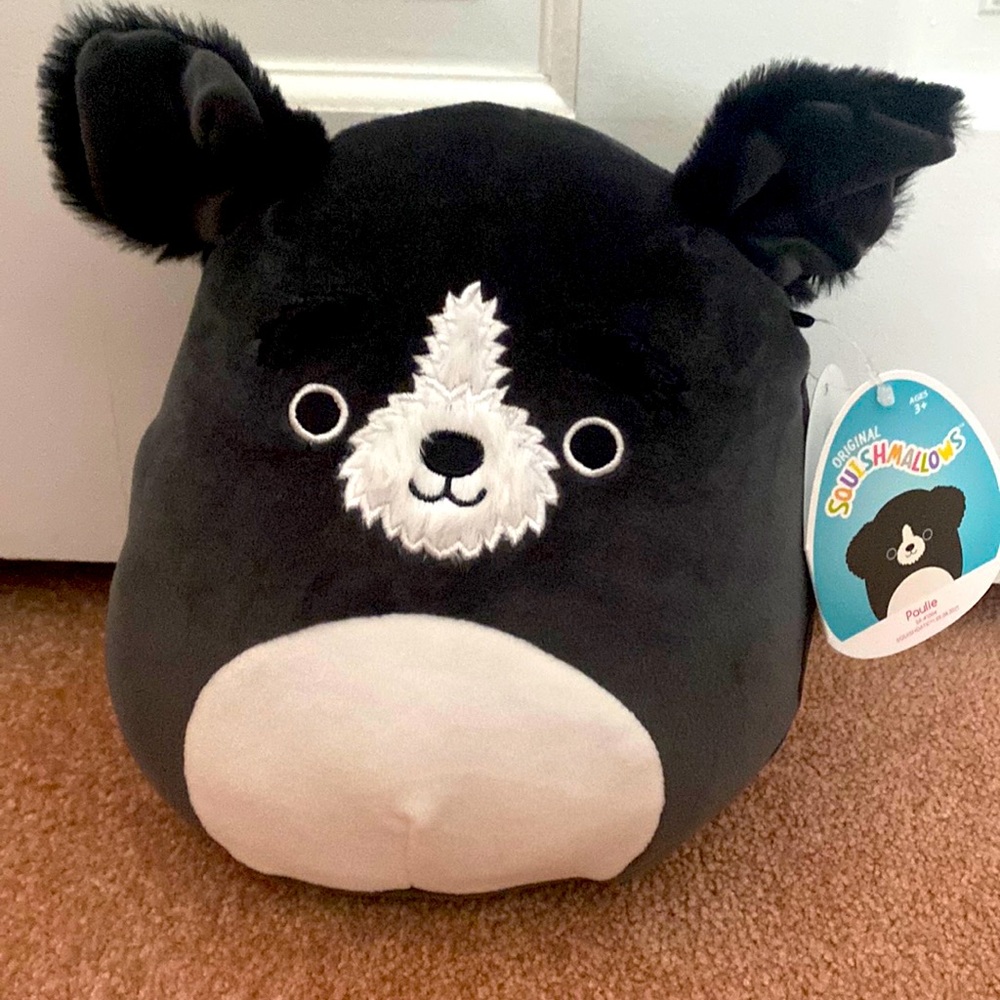 Paulie the puppy dog Squishmallow
